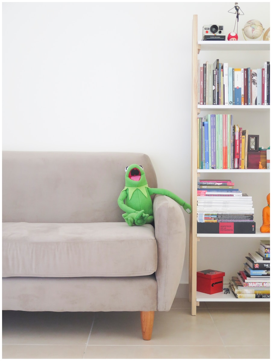 Frog on a couch